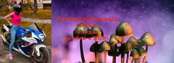 метадон Ельня