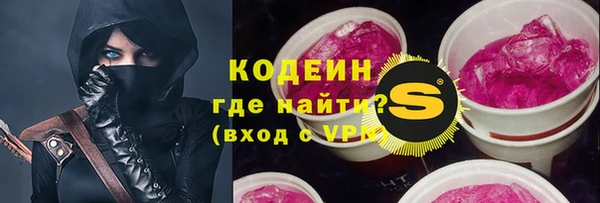 индика Дмитровск