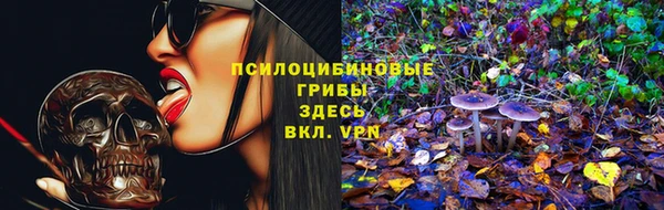 метадон Ельня