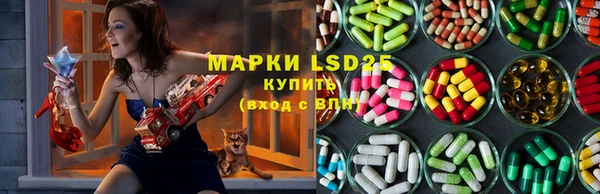 mdpv Елизово