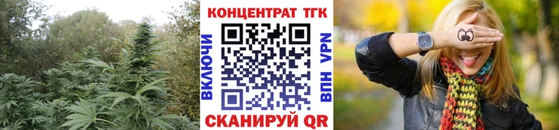 Купить закладки  Ковдор  Дистиллят ТГК Wax 