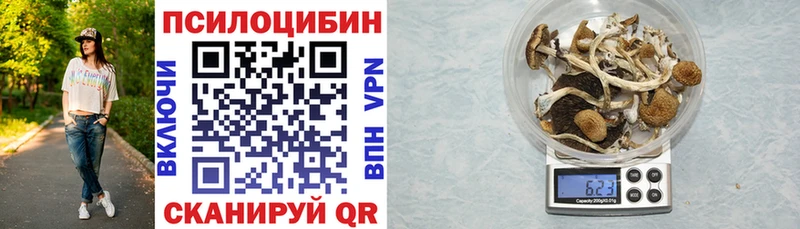 Галлюциногенные грибы мицелий  Купить закладки  Ковдор 